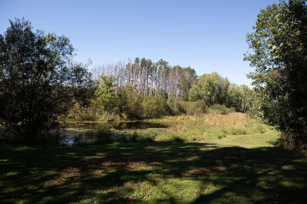 2629 Crestview Road Harris, MN 55032 - Photo 7 of 36