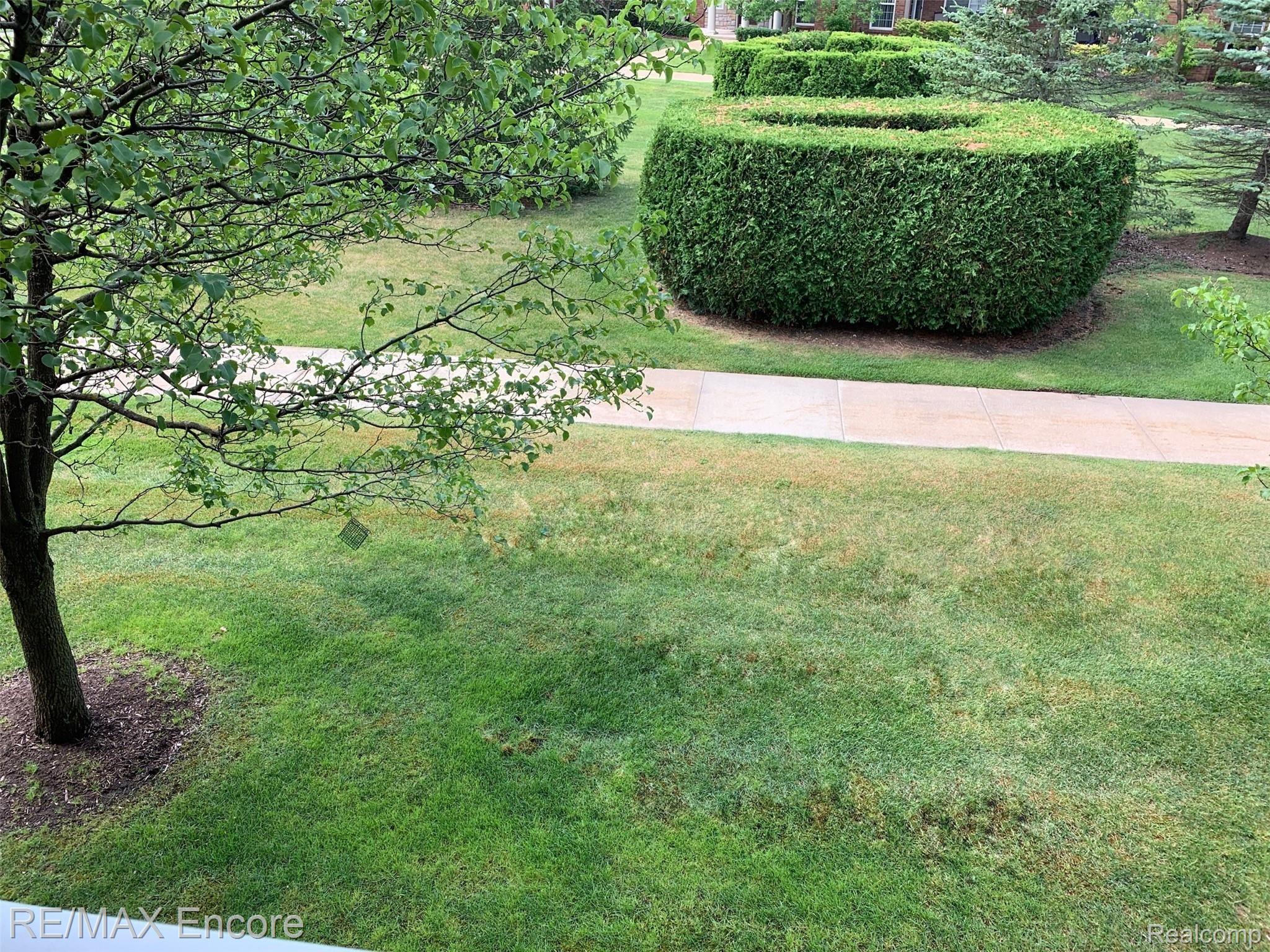 3522 Tremonte Circle Rochester, MI 48306 - Photo 6 of 31 Park Like View from Balcony
