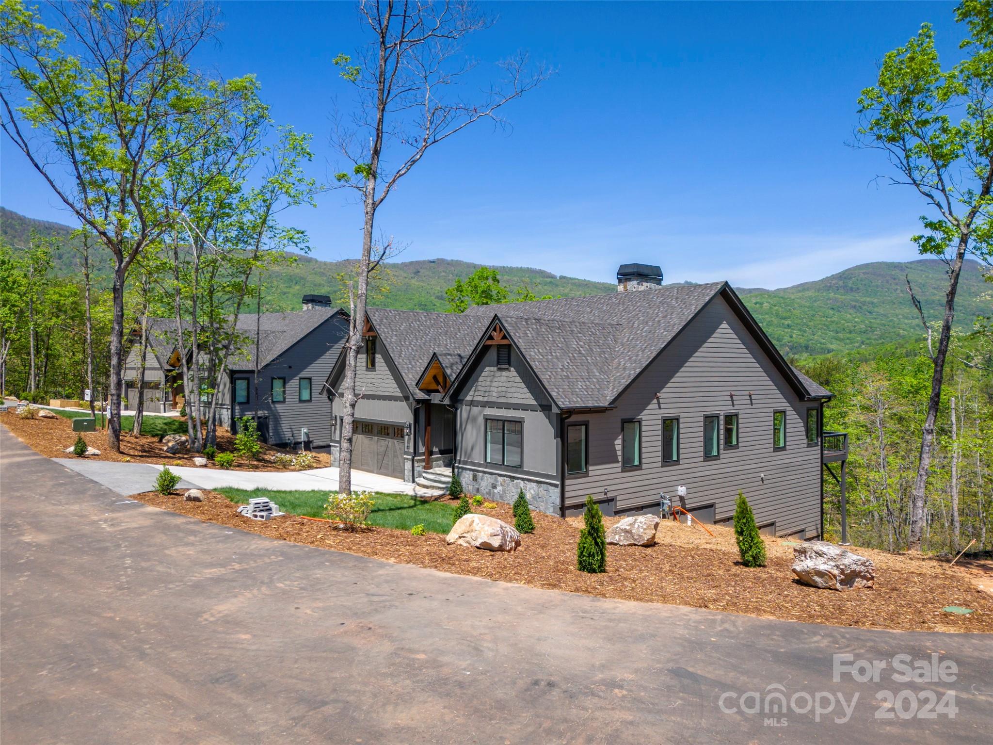 87 Jackson Ridge Ln Mill Spring, Unit 4 Mill Spring, NC 28756 - Photo 2 of 48 a view of a house with a yard and large tree