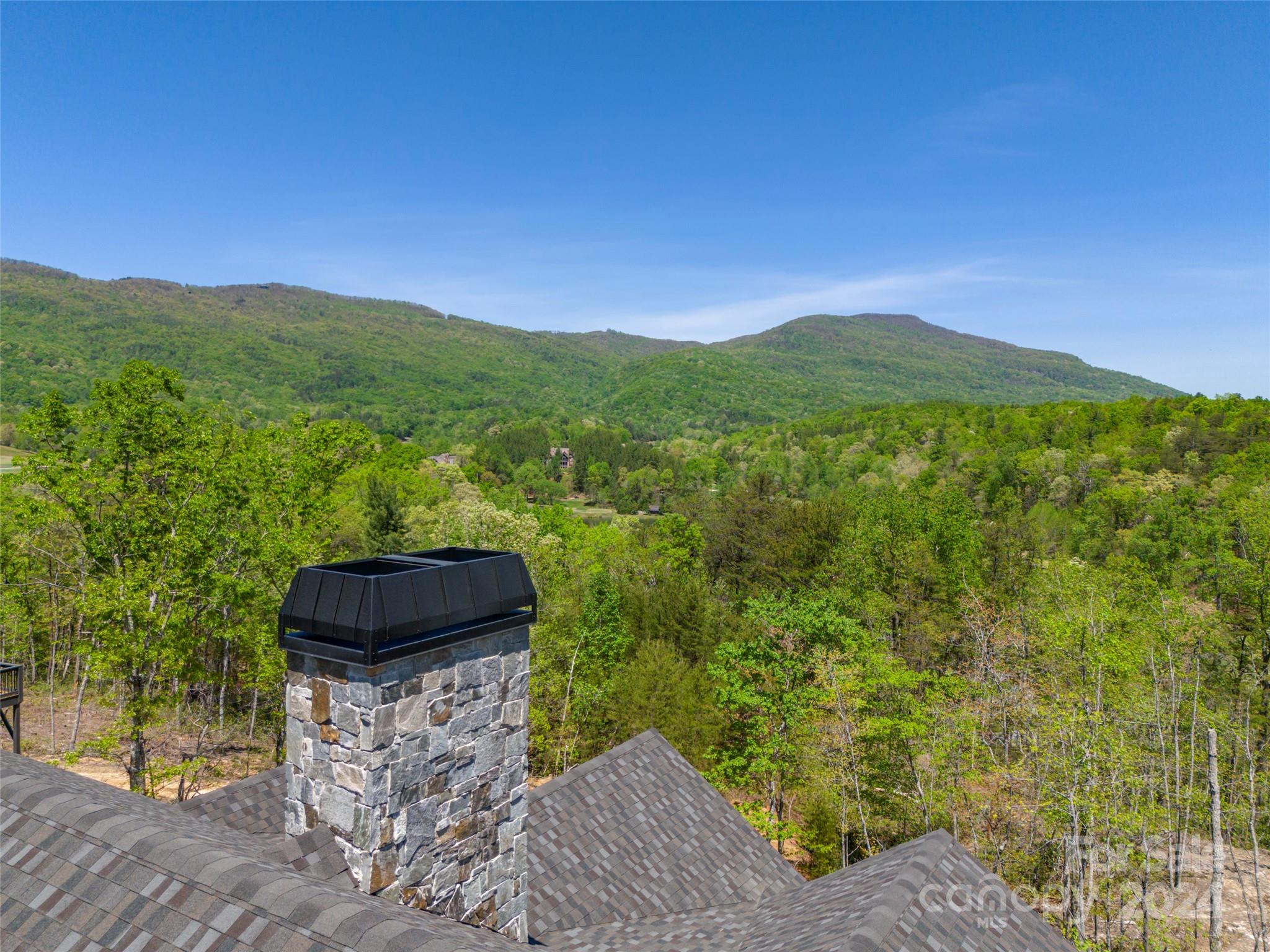 87 Jackson Ridge Ln Mill Spring, Unit 4 Mill Spring, NC 28756 - Photo 42 of 48 a view of a garden with a mountain