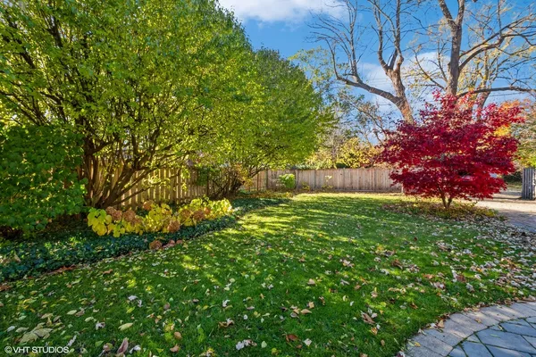 a view of a yard with a tree