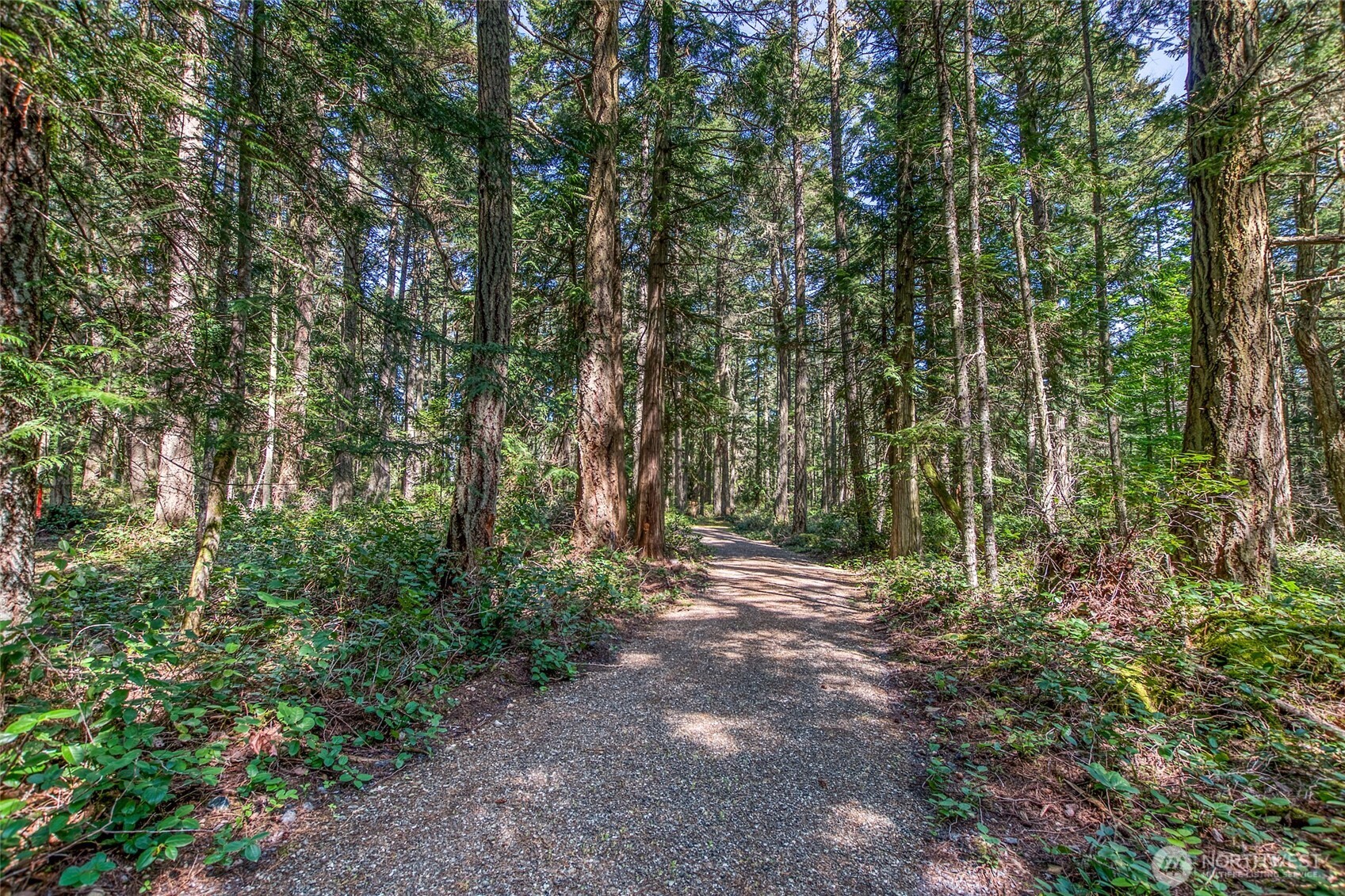 0 Tibbs Road Shaw Island, WA 98286 - Photo 17 of 36 Gallery Image 17