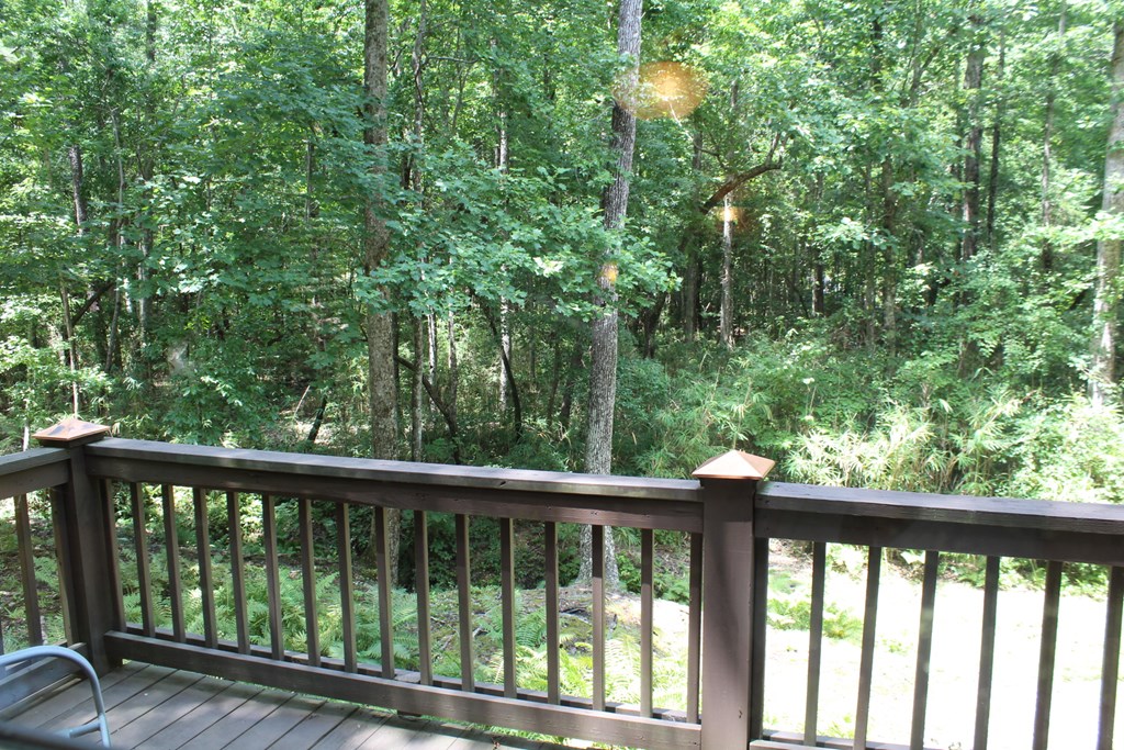325 Mountain Springs Road Warm Springs, GA 31830 - Photo 17 of 29 Gallery Image 17