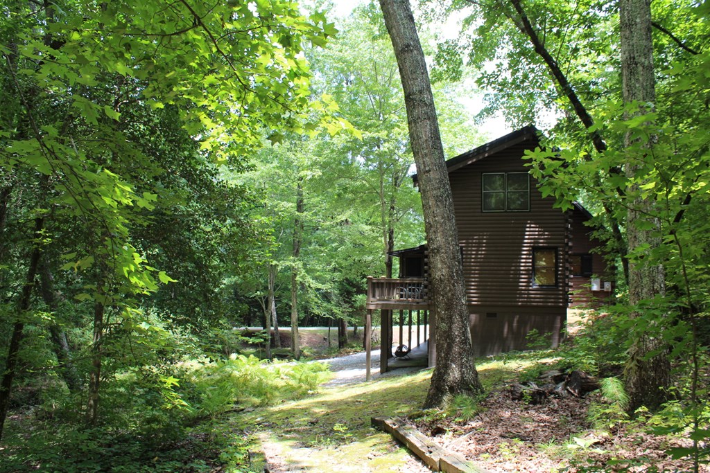 325 Mountain Springs Road Warm Springs, GA 31830 - Photo 27 of 29 Gallery Image 27