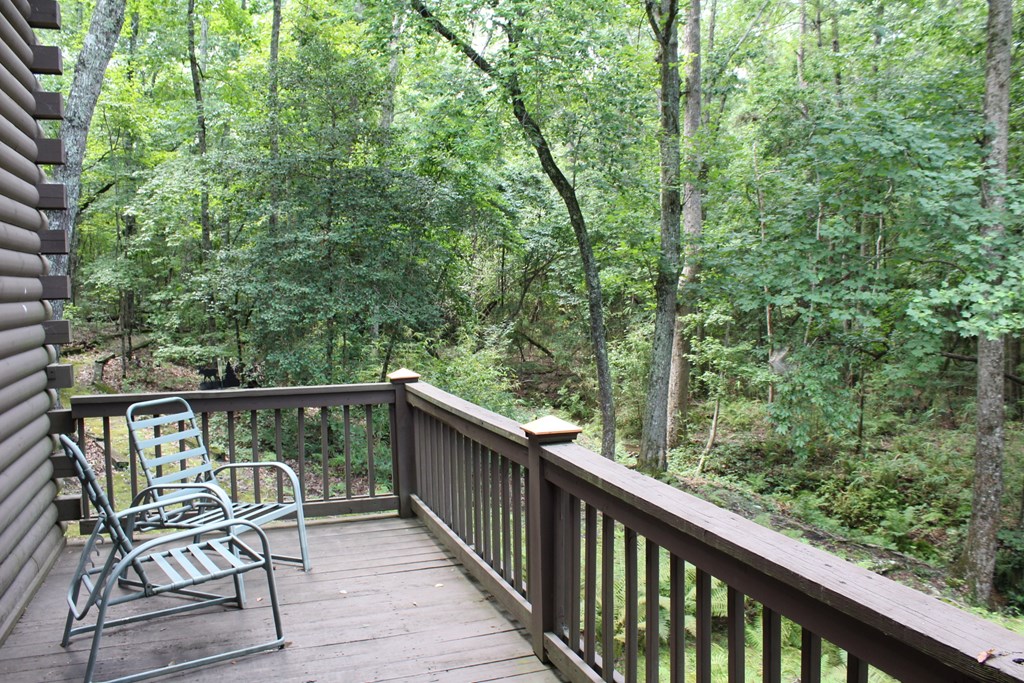 325 Mountain Springs Road Warm Springs, GA 31830 - Photo 8 of 29 Gallery Image 8
