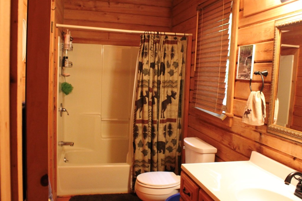 325 Mountain Springs Road Warm Springs, GA 31830 - Photo 10 of 29 Gallery Image 10