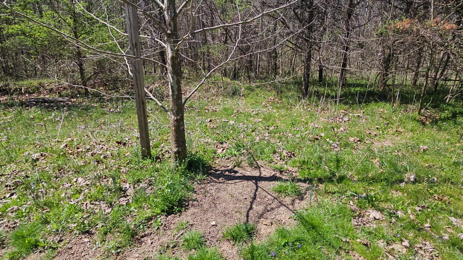 0 Spruce Hollow Road South Webster, OH 45682 - Photo 52 of 54