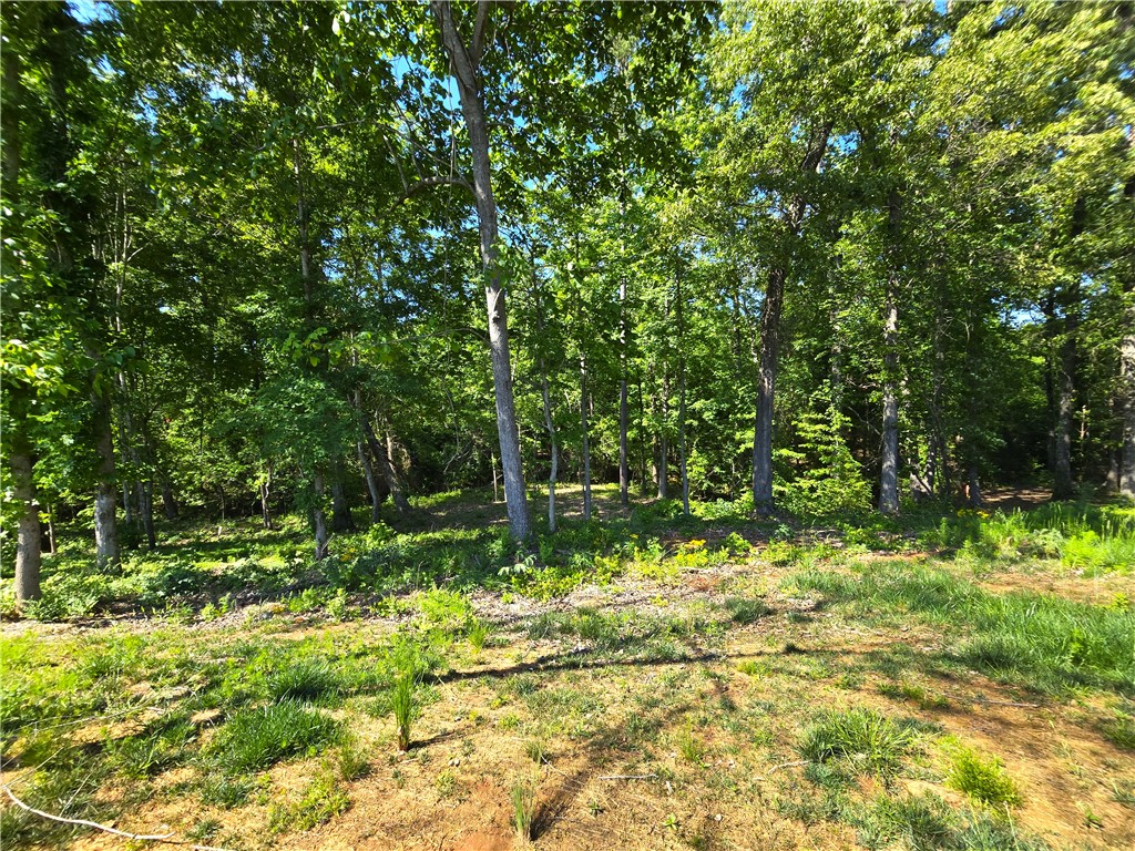 334 Summerall Drive Anderson, SC 29621 - Photo 22 of 28 This tranquil wooded property offers a serene natural setting.