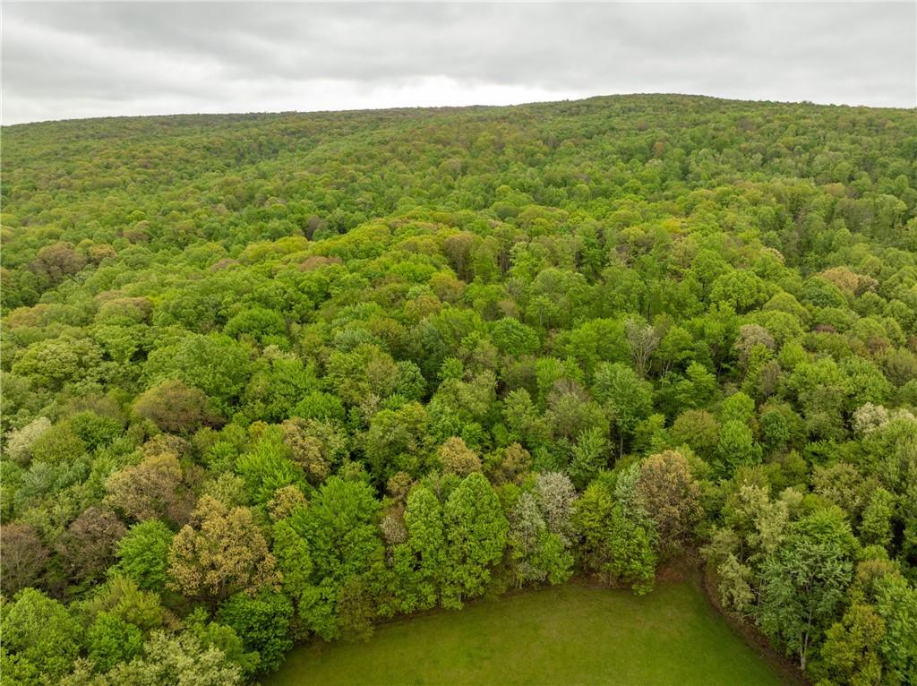 0 Macey Road Latrobe, PA 15650 - Photo 12 of 17 Gallery Image 12