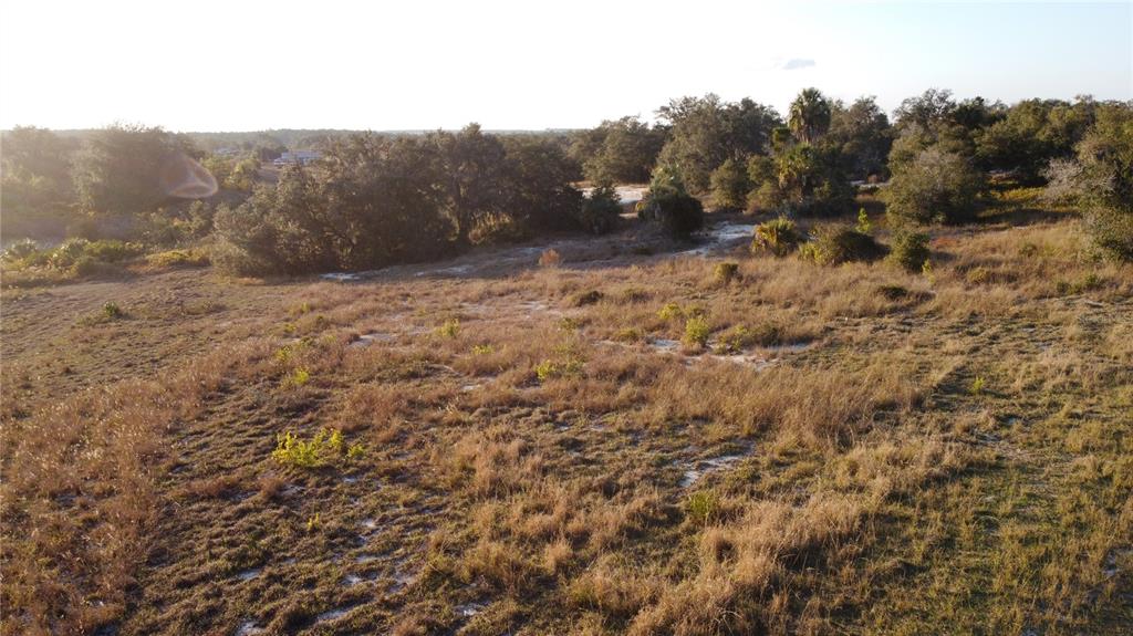 Lake Andrea Rd Lake Babson Park, FL 33827 - Photo 11 of 13 a view of a dry yard with trees in the background