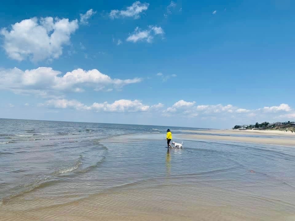 511 Forest Cape Villas, NJ 08251 - Photo 45 of 48