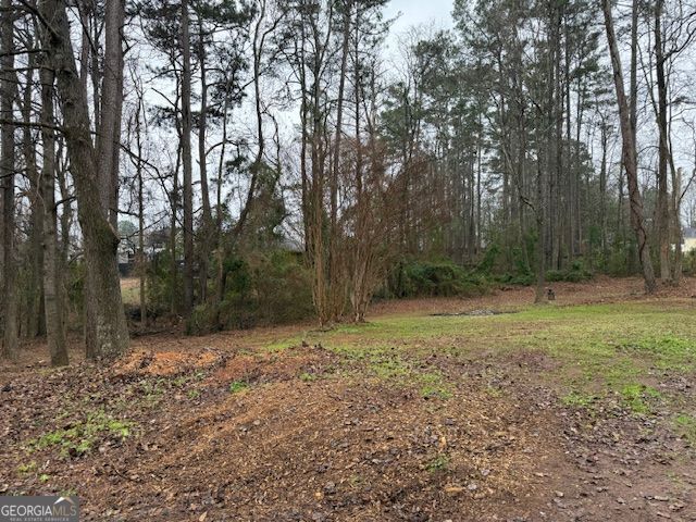 4382 Highway 42 Locust Grove, GA 30248 - Photo 20 of 21
