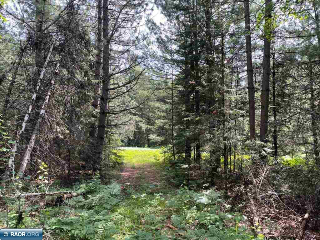 Xxx Old Cemetery Road Tower, MN 55790 - Photo 15 of 16