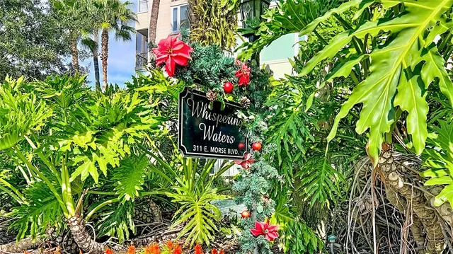 a view of a swimming pool with a yard