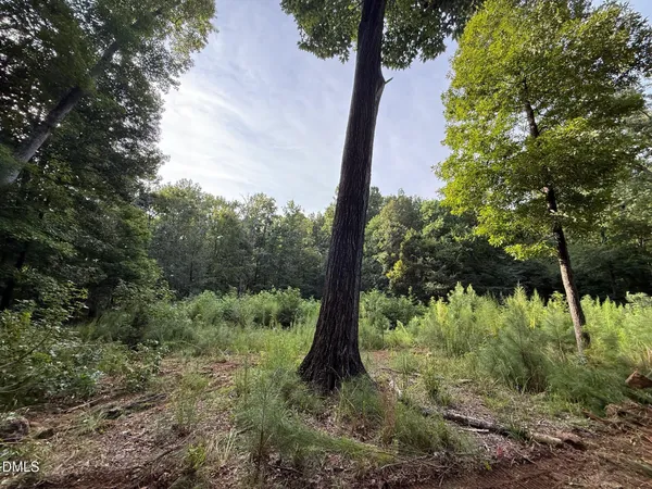 $260,000 | Lot 1 Orange Grv Street, Hillsborough, NC 27278