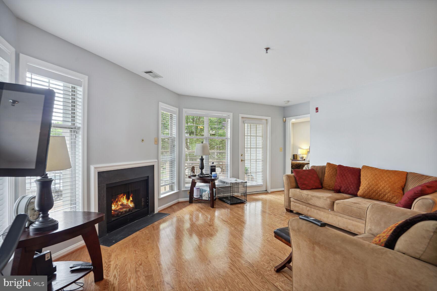 5575 Seminary Road, Unit 204 Falls Church, VA 22041 - Photo 5 of 22