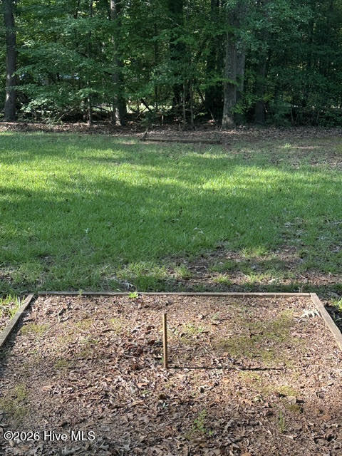 194 Ingram Mill Road Ellerbe, NC 28338 - Photo 20 of 28
