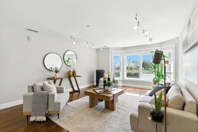 a living room with furniture a rug potted plant and a large window