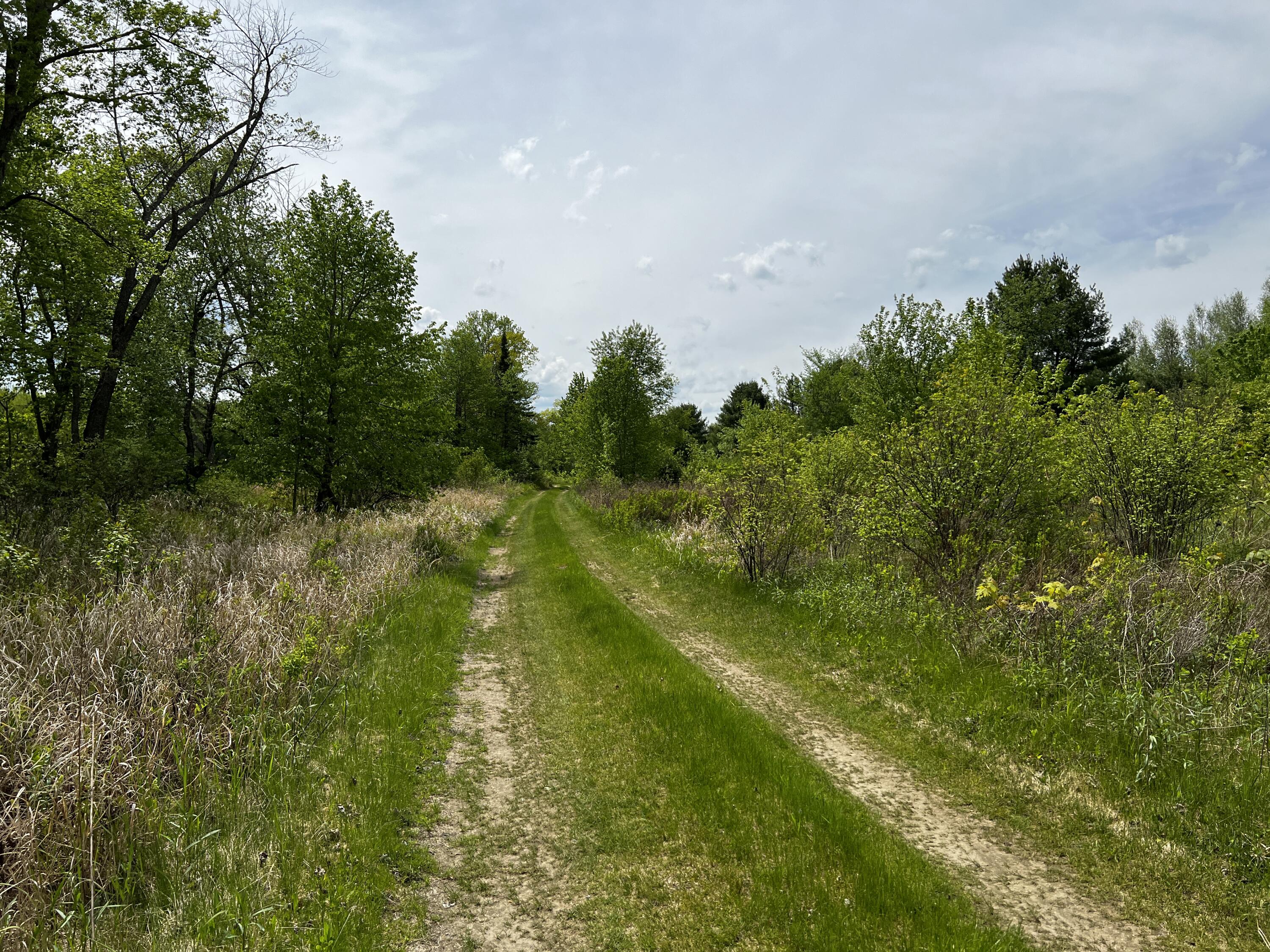 Lot 6 Emery Farm Road Medford, ME 04463 - Photo 10 of 27 IMG_4255