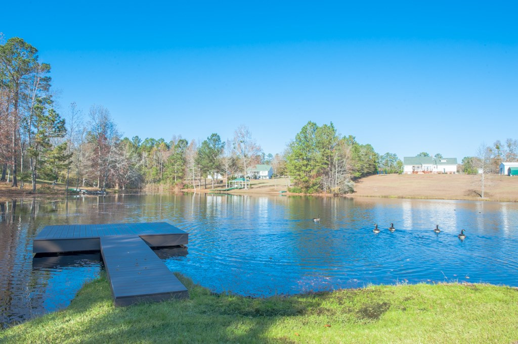 351 Chime Bell Church Road Aiken, SC 29803 - Photo 2 of 33 Gallery Image 2