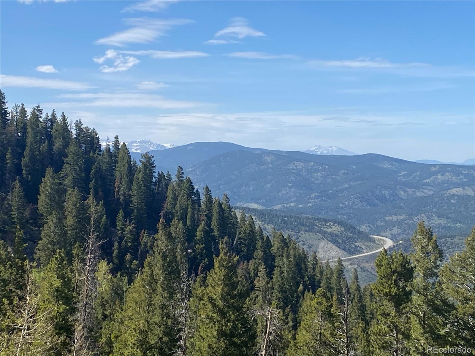 1695 Packsaddle Trail Evergreen, CO 80439 - Photo 2 of 7 a view of a lush green field with mountains in the background