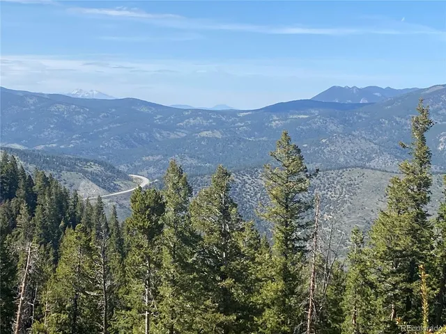 an aerial view of mountain and tree