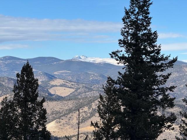 1695 Packsaddle Trail Evergreen, CO 80439 - Photo 7 of 7 a view of outdoor space and mountain view