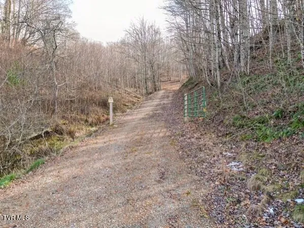 $625,000 | Tbd Fred Wallace Road, Trade, TN 37691