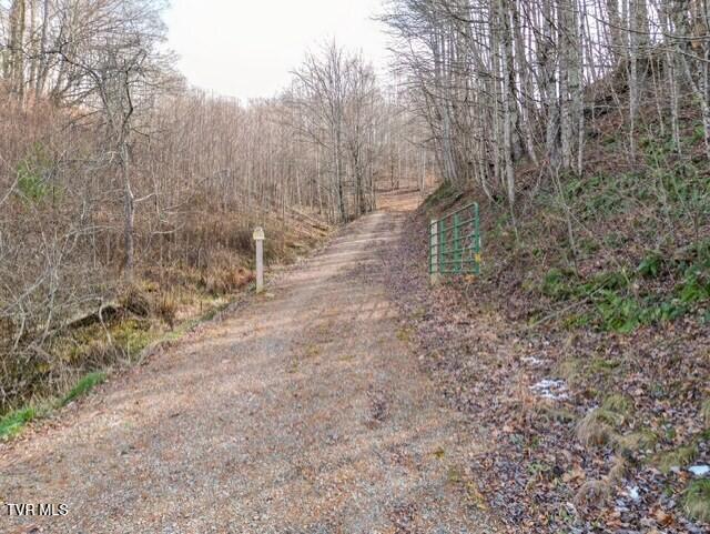 thumbnail_Bumgardner-06