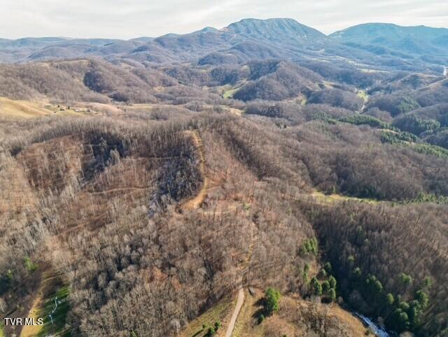 Tbd Fred Wallace Road Trade, TN 37691 - Photo 12 of 24 thumbnail_Bumgardner-14