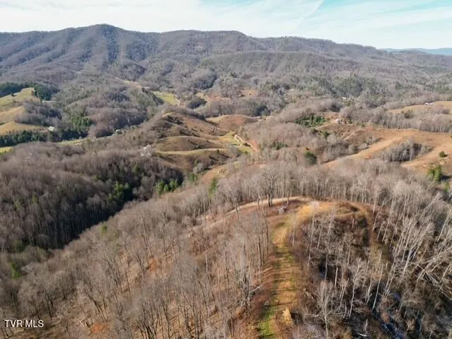 $625,000 | Tbd Fred Wallace Road, Trade, TN 37691