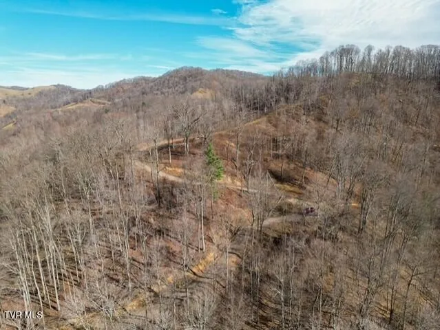 $625,000 | Tbd Fred Wallace Road, Trade, TN 37691