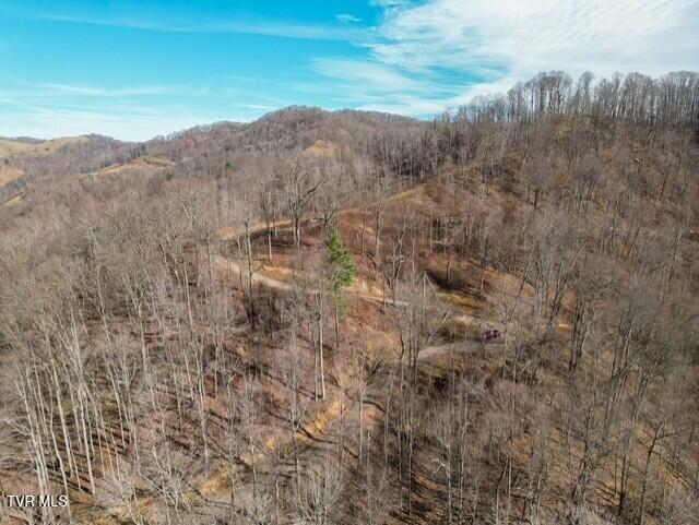 Tbd Fred Wallace Road Trade, TN 37691 - Photo 17 of 24 thumbnail_Bumgardner-19