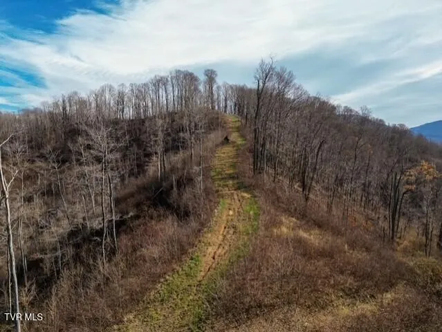 $625,000 | Tbd Fred Wallace Road, Trade, TN 37691