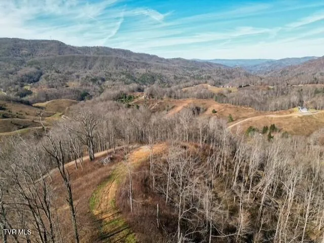 $625,000 | Tbd Fred Wallace Road, Trade, TN 37691