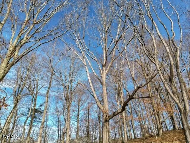 $625,000 | Tbd Fred Wallace Road, Trade, TN 37691