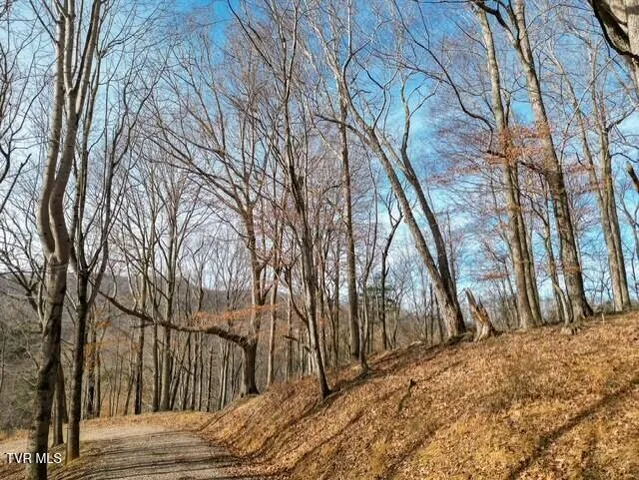 $625,000 | Tbd Fred Wallace Road, Trade, TN 37691