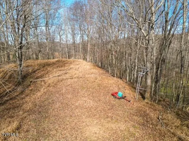 $625,000 | Tbd Fred Wallace Road, Trade, TN 37691