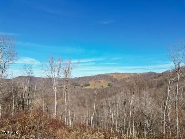 $625,000 | Tbd Fred Wallace Road, Trade, TN 37691