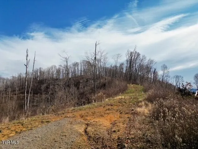 $625,000 | Tbd Fred Wallace Road, Trade, TN 37691