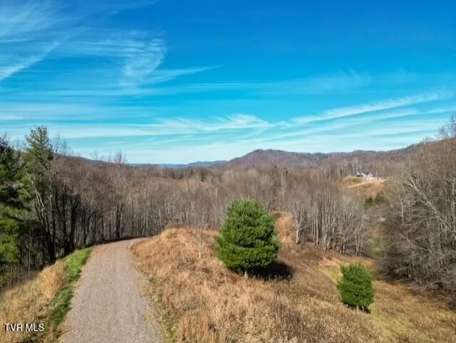 $625,000 | Tbd Fred Wallace Road, Trade, TN 37691