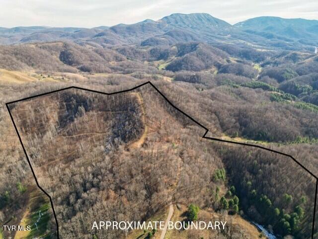 Tbd Fred Wallace Road Trade, TN 37691 - Photo 6 of 24 thumbnail_DJI_0159