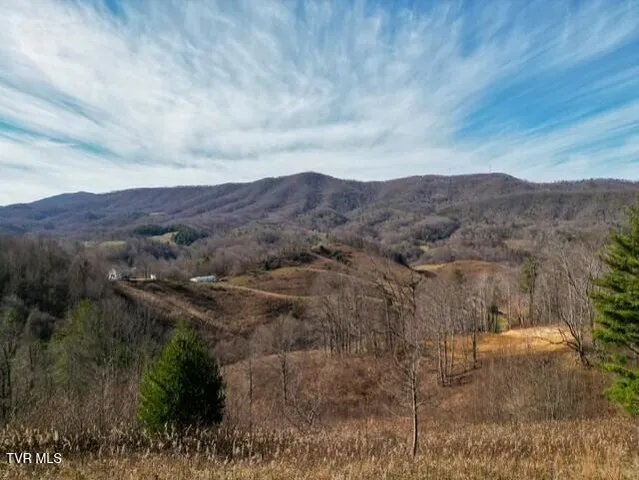 $625,000 | Tbd Fred Wallace Road, Trade, TN 37691