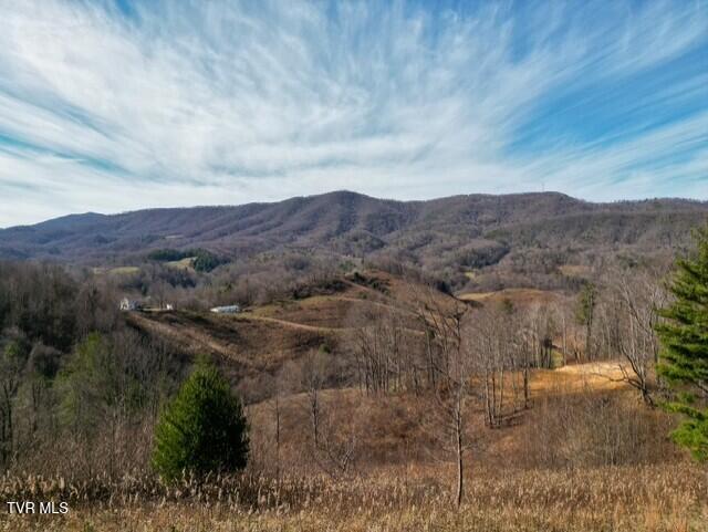 Tbd Fred Wallace Road Trade, TN 37691 - Photo 8 of 24 thumbnail_Bumgardner-10