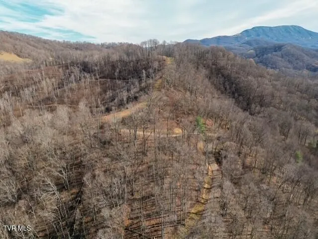 $625,000 | Tbd Fred Wallace Road, Trade, TN 37691