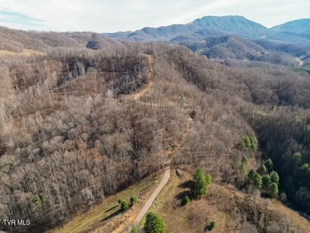 $625,000 | Tbd Fred Wallace Road, Trade, TN 37691