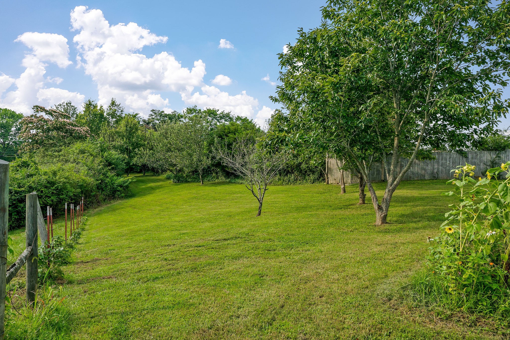 227 B A R Road Baxter, TN 38544 - Photo 23 of 52 a green field with lots of trees in it