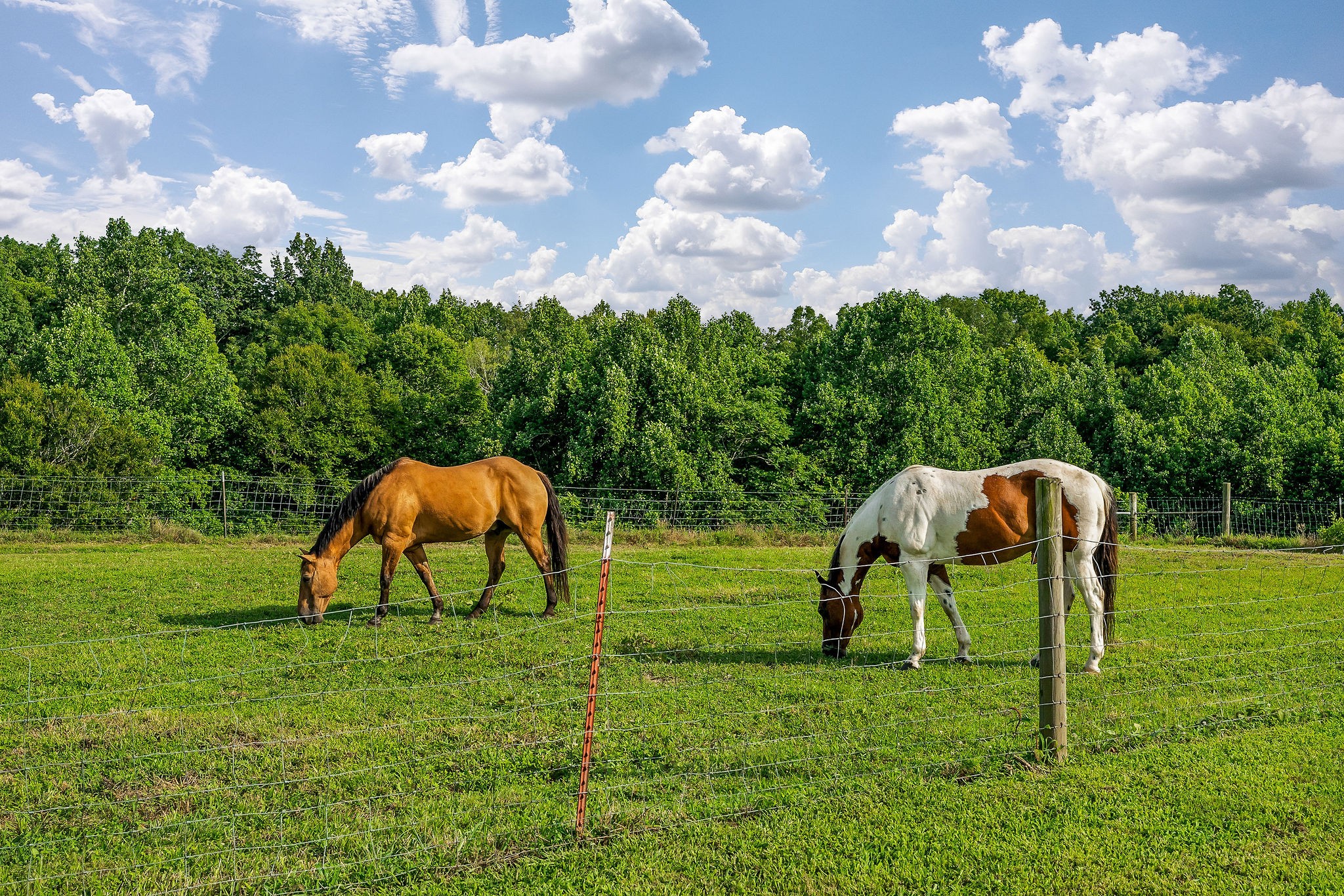 227 B A R Road Baxter, TN 38544 - Photo 27 of 52 a backyard of a house with table and chairs