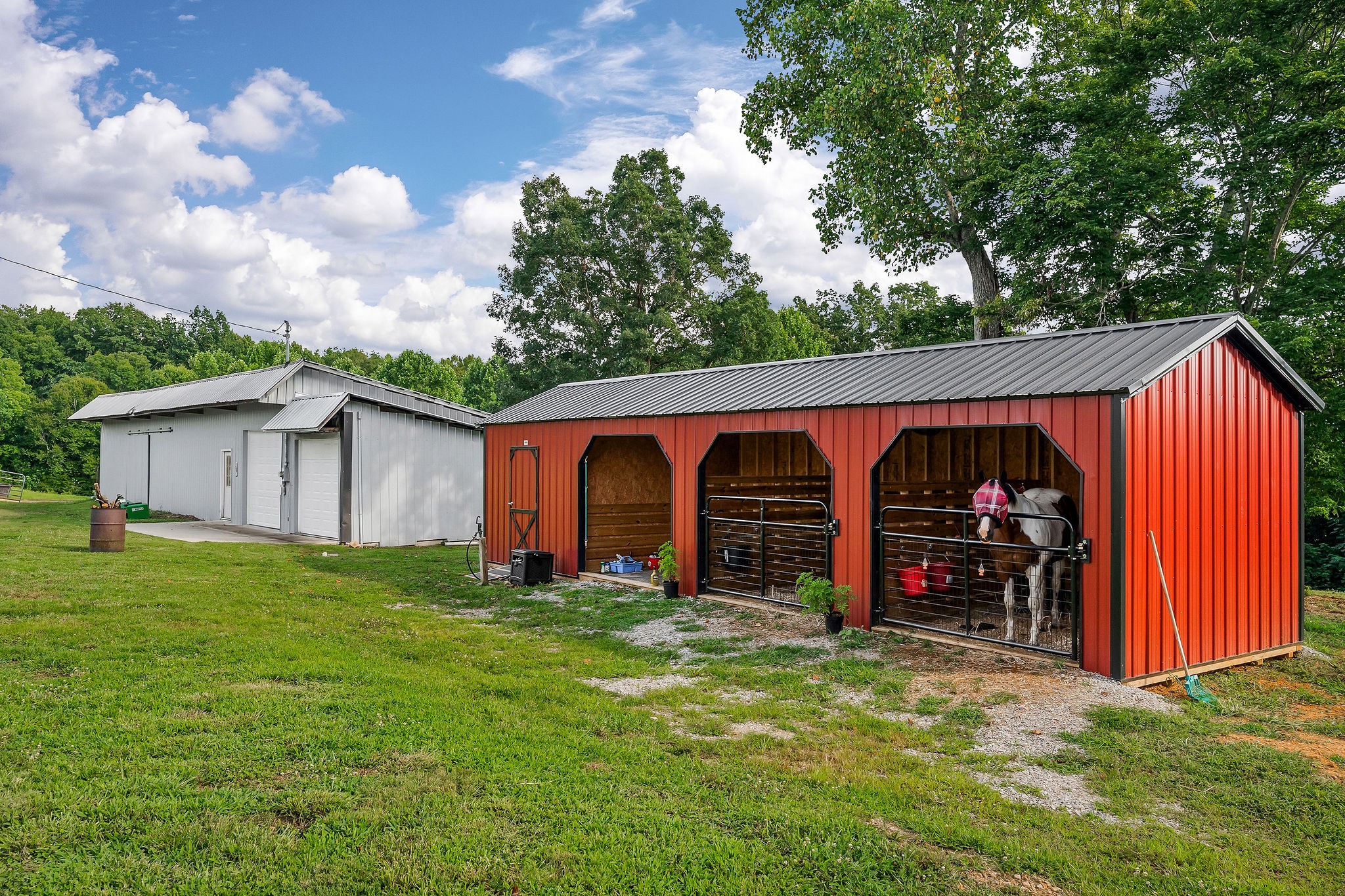 227 B A R Road Baxter, TN 38544 - Photo 29 of 52 a view of backyard with large trees and a barn