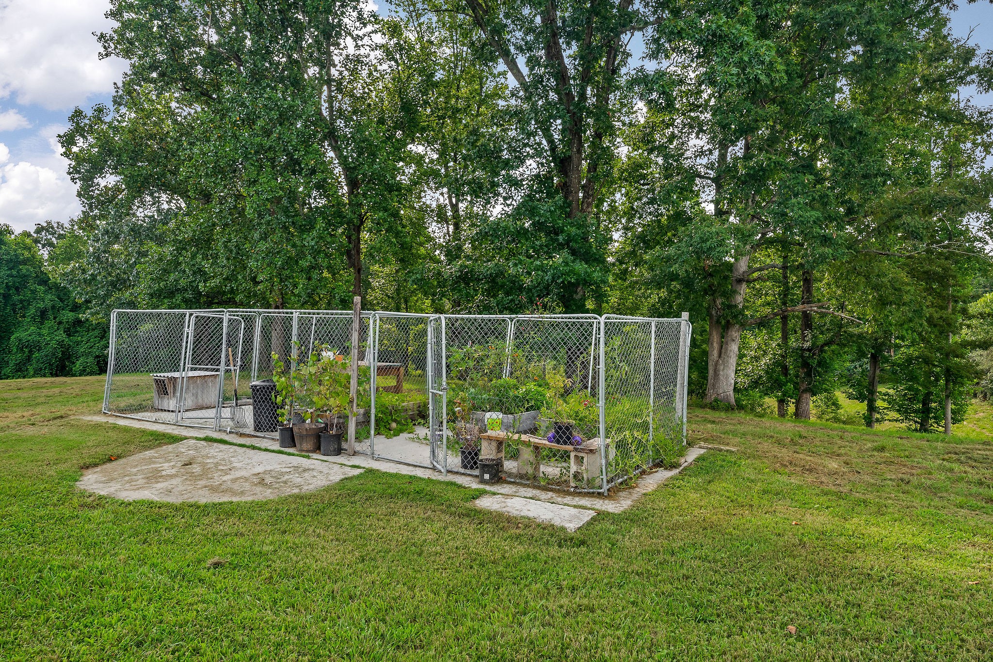 227 B A R Road Baxter, TN 38544 - Photo 36 of 52 a view of a park with a bench and trees